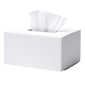 Facial Tissue Carton – 100 Sheets